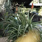 Exceptional A C 4br 8p With Pool & Sea View דירה