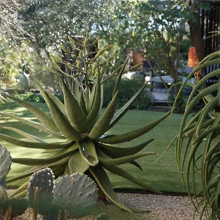 Exceptional A C 4br 8p With Pool & Sea View *