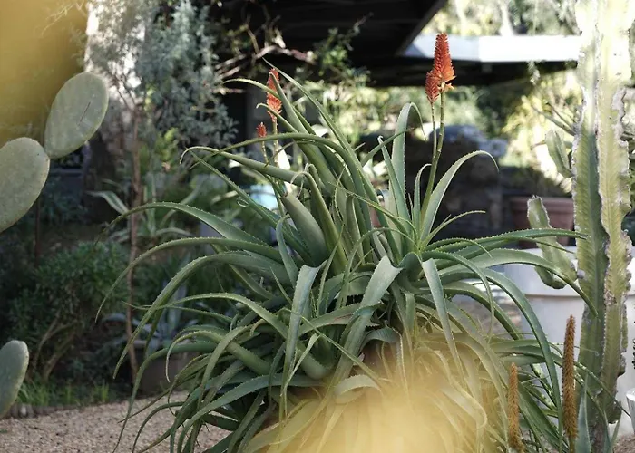 Exceptional A C 4br 8p With Pool & Sea View Apartamento