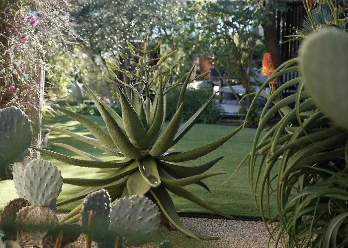 Exceptional A C 4br 8p With Pool & Sea View *